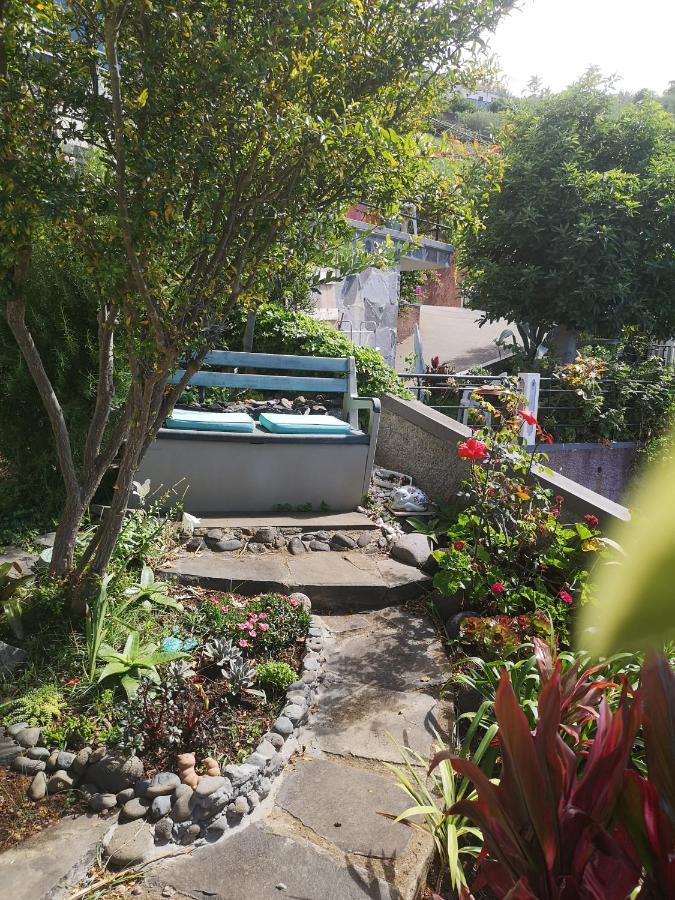 Casa-Albatros Villa Ponta do Sol  Exterior foto